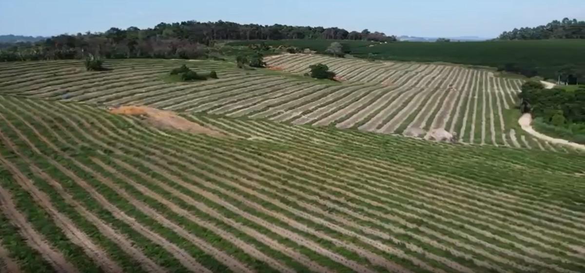 Fazenda, Zona Rural, 0 Quarto, 0 Vaga