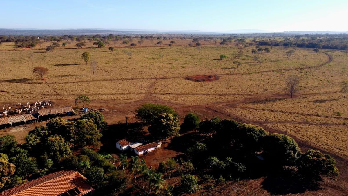 Fazenda, Zona Rural, 0 Quarto, 0 Vaga, 5 Suítes