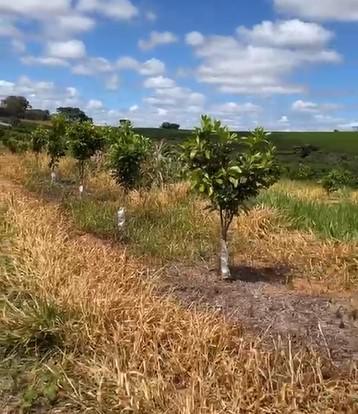 Fazenda, Zona Rural, 3 Quartos, 0 Vaga