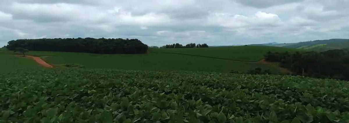 Fazenda, Zona Rural, 0 Quarto, 0 Vaga