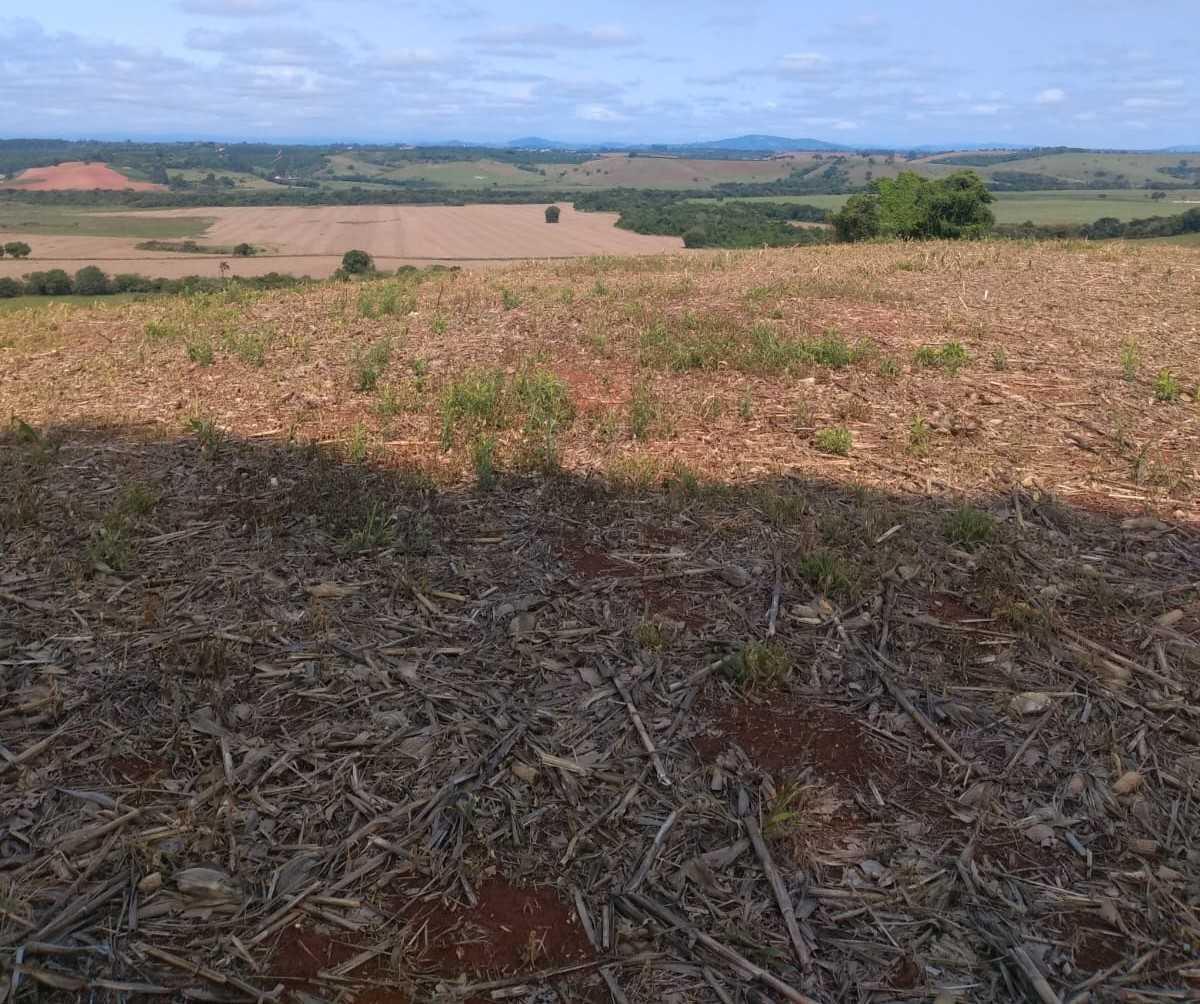 Fazenda, Centro, 0 Quarto, 0 Vaga