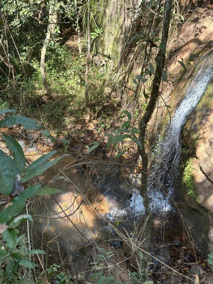 Fazenda, Zona Rural, 0 Quarto, 0 Vaga