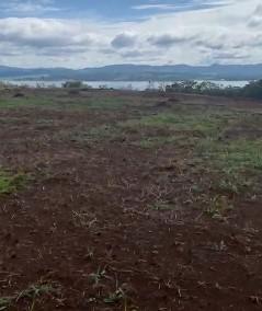 Fazenda, Zona Rural, 0 Quarto, 0 Vaga
