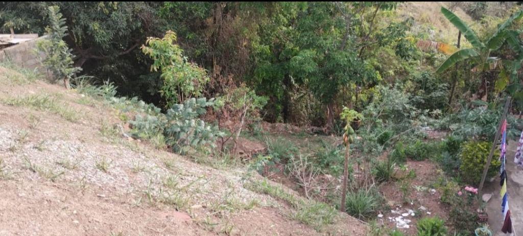 Lote, Vila Rica, 0 Quarto, 0 Vaga