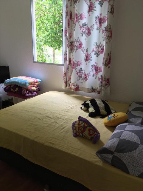 Apartamento, Santa Amélia, 2 Quartos, 1 Vaga