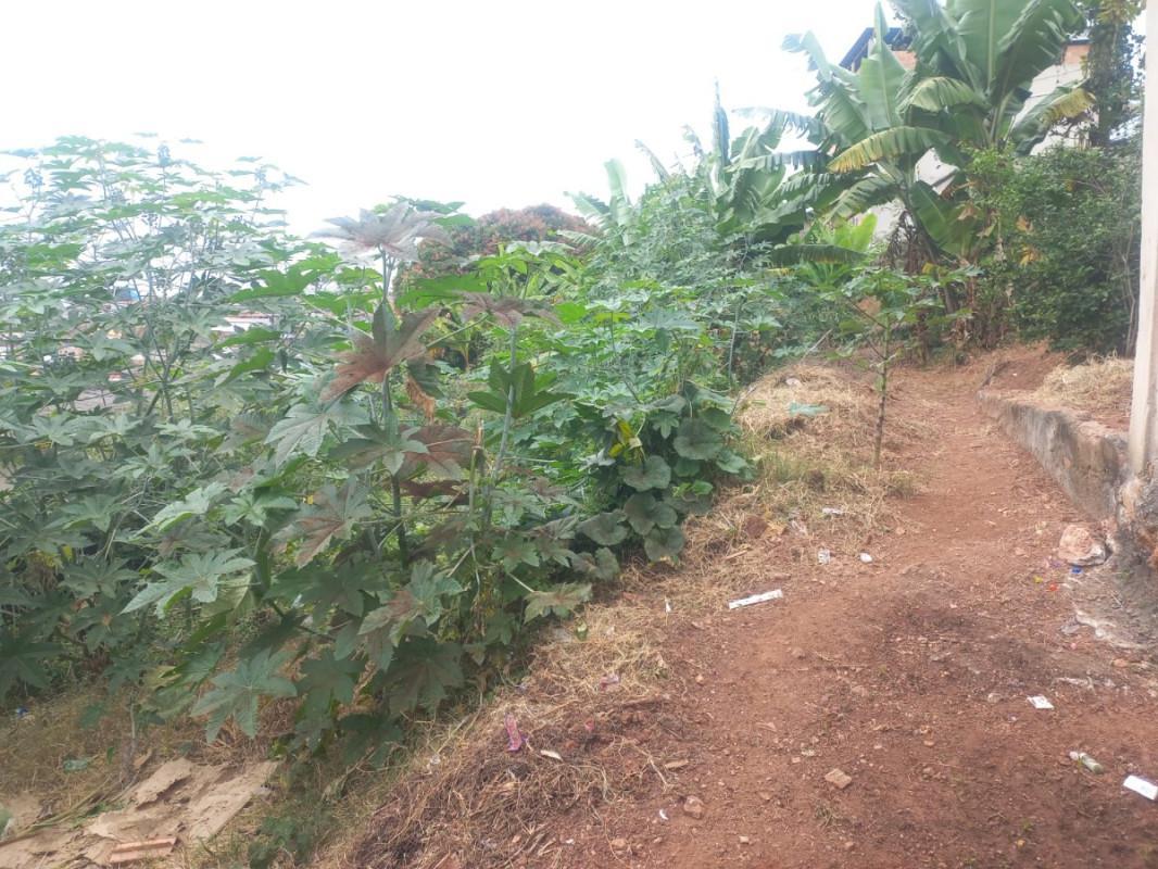 Lote, São Benedito, 0 Quarto, 0 Vaga