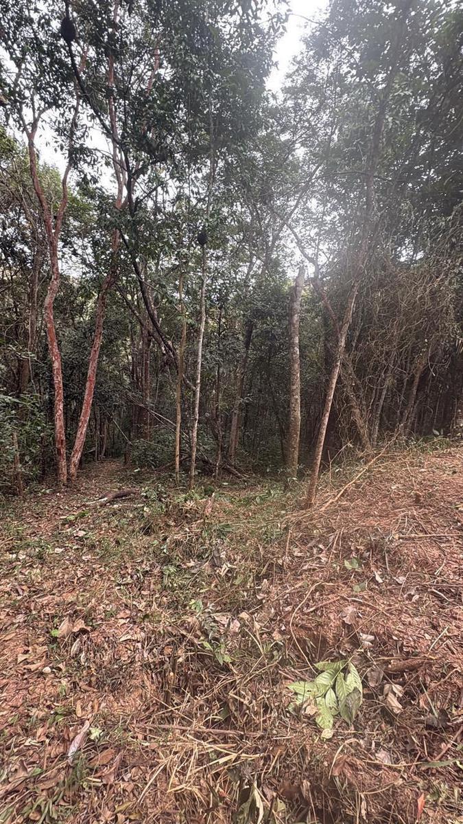 Lote, Acurui, 0 Quarto, 0 Vaga
