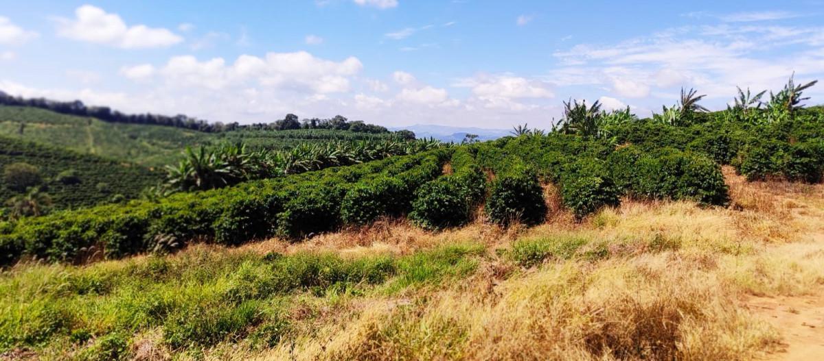 Fazenda, Zona Rural, 0 Quarto, 0 Vaga