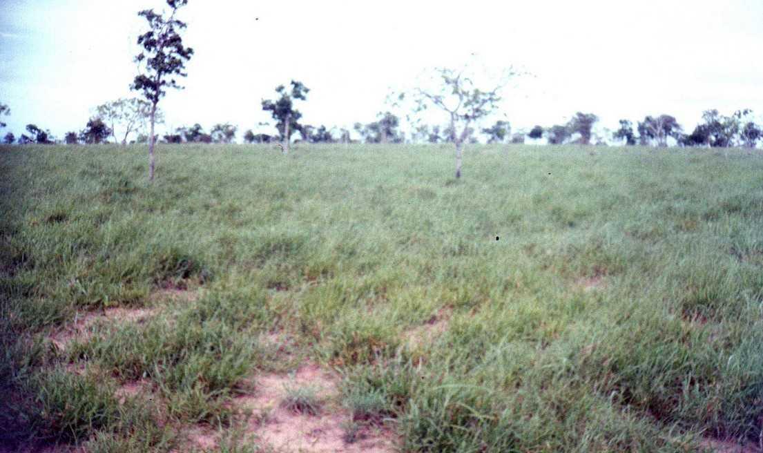 Fazenda, Zona Rural, 3 Quartos, 0 Vaga