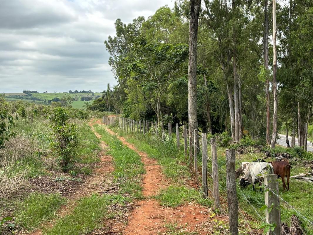 Fazenda, Zona Rural, 0 Quarto, 0 Vaga