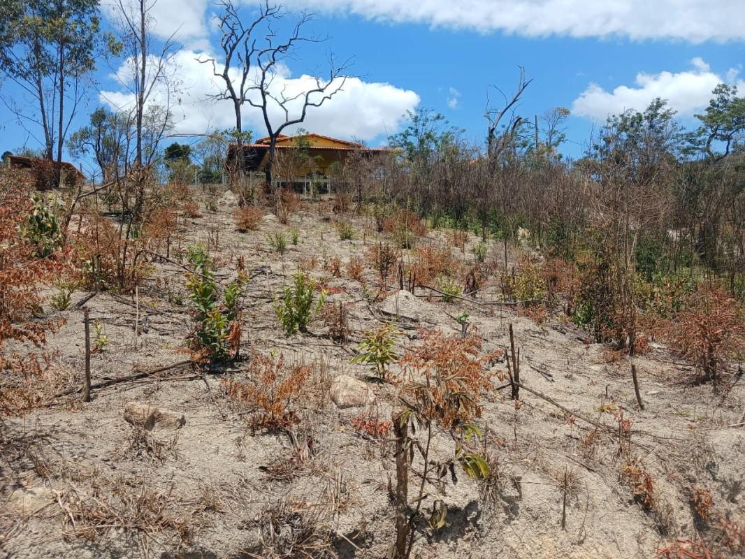 Lote, Roças Novas, 0 Quarto, 0 Vaga