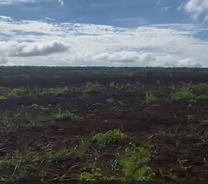 Fazenda, Zona Rural, 0 Quarto, 0 Vaga