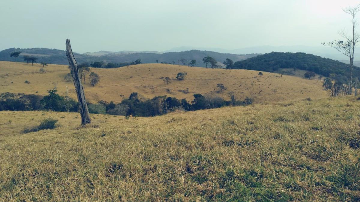 Fazenda, Zona Rural, 0 Quarto, 0 Vaga