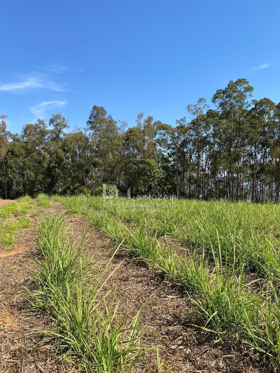 Fazenda, Zona Rural, 7 Quartos, 0 Vaga, 1 Suíte
