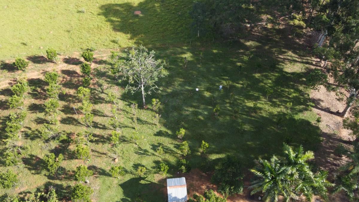 Lote, Centro, 3 Quartos, 0 Vaga
