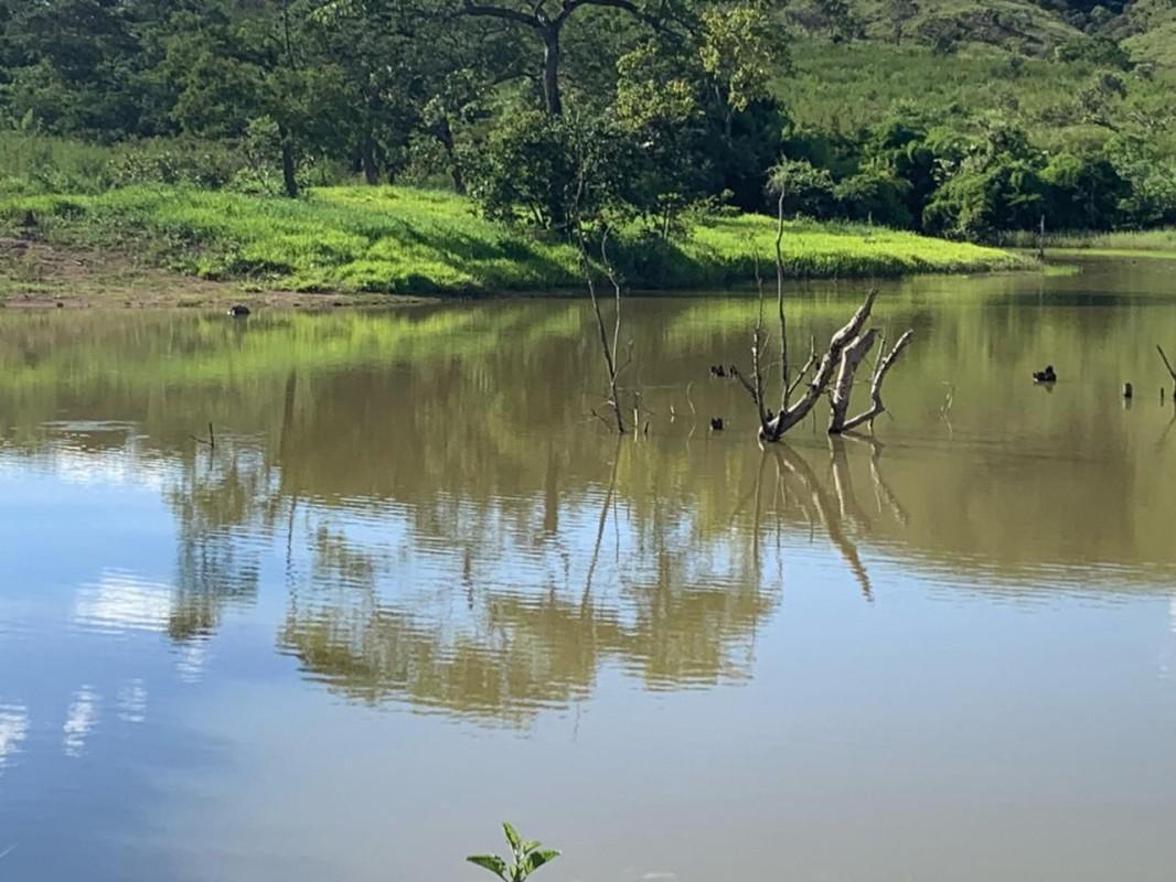 Fazenda, Ruralminas, 3 Quartos, 10 Vagas, 1 Suíte