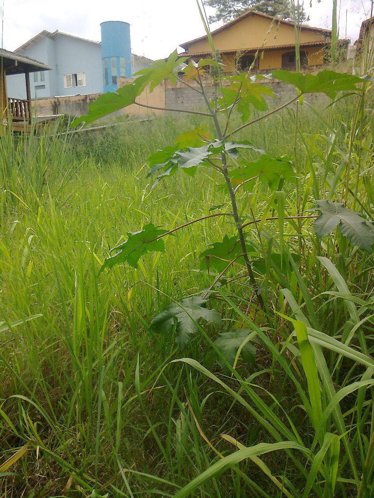Lote, Jardim Riacho das Pedras, 0 Quarto, 0 Vaga