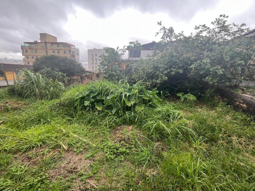 Lote, Padre Eustáquio, 0 Quarto, 0 Vaga