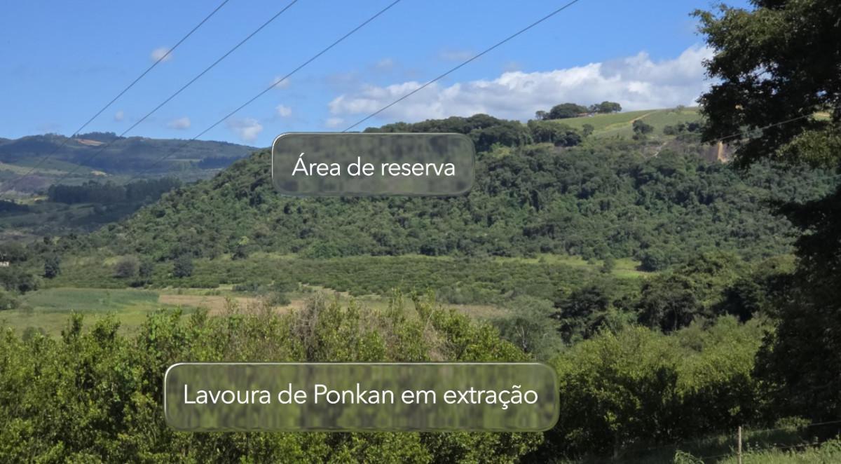 Fazenda, Zona Rural, 3 Quartos, 0 Vaga, 1 Suíte