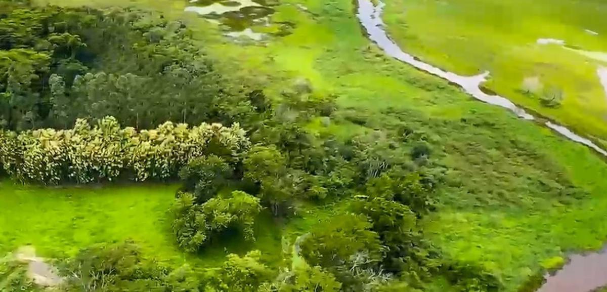 Fazenda, Zona Rural, 0 Quarto, 0 Vaga