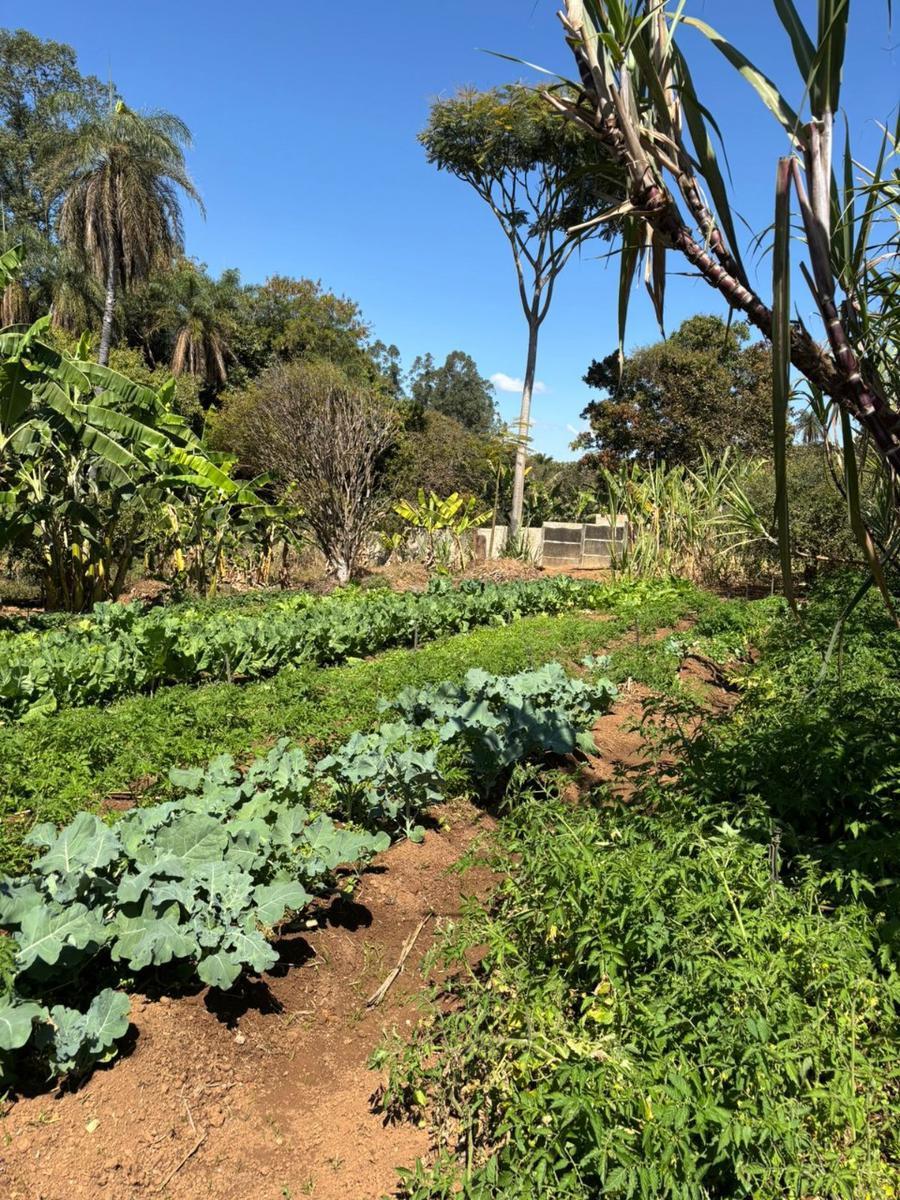 Lote, Manoa, 0 Quarto, 0 Vaga
