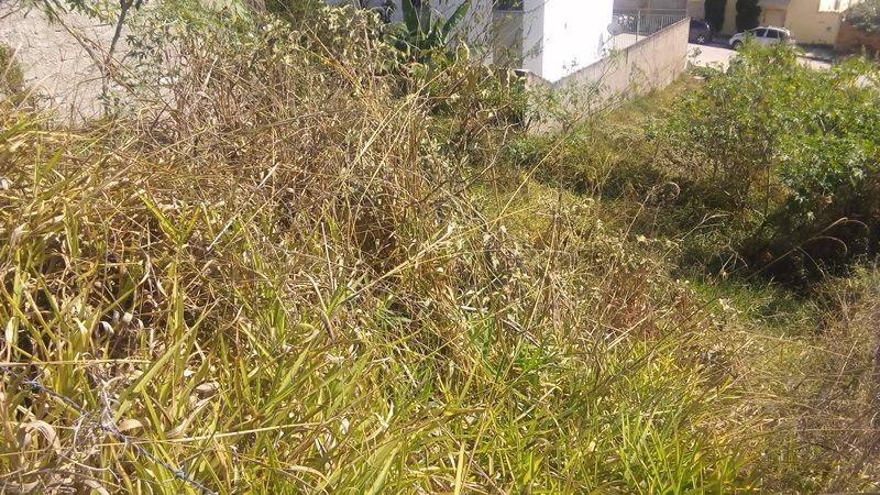 Lote, Imperial, 0 Quarto, 0 Vaga