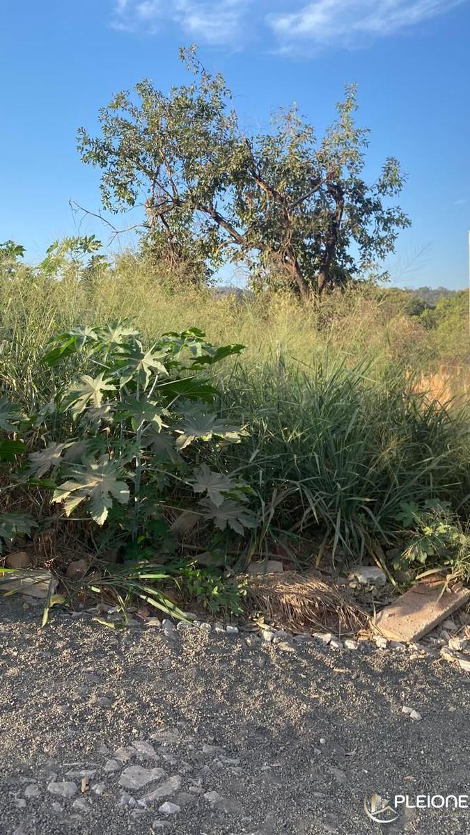 Lote, Antunes, 0 Quarto, 0 Vaga
