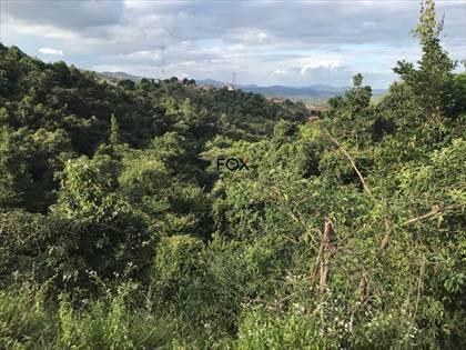 Lote, Nacional, 0 Quarto, 0 Vaga