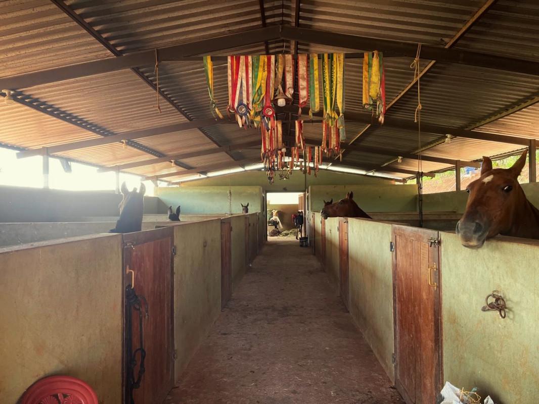 Fazenda, Zona Rural, 0 Quarto, 0 Vaga