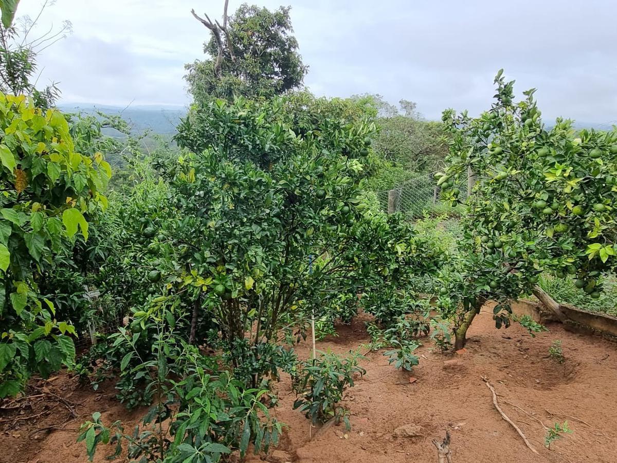 Fazenda, São José, 2 Quartos, 0 Vaga, 2 Suítes