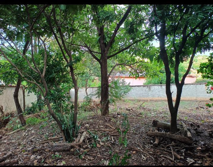 Lote, Granja Vista Alegre, 0 Quarto, 0 Vaga