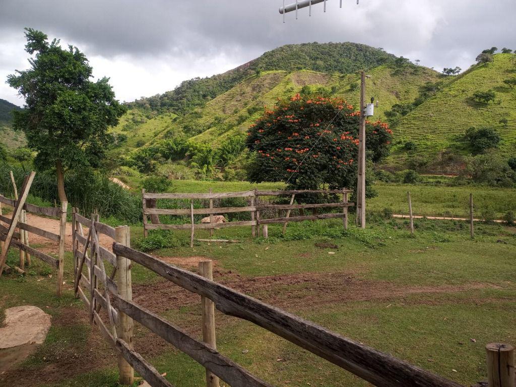 Fazenda, Centro, 3 Quartos, 0 Vaga, 1 Suíte