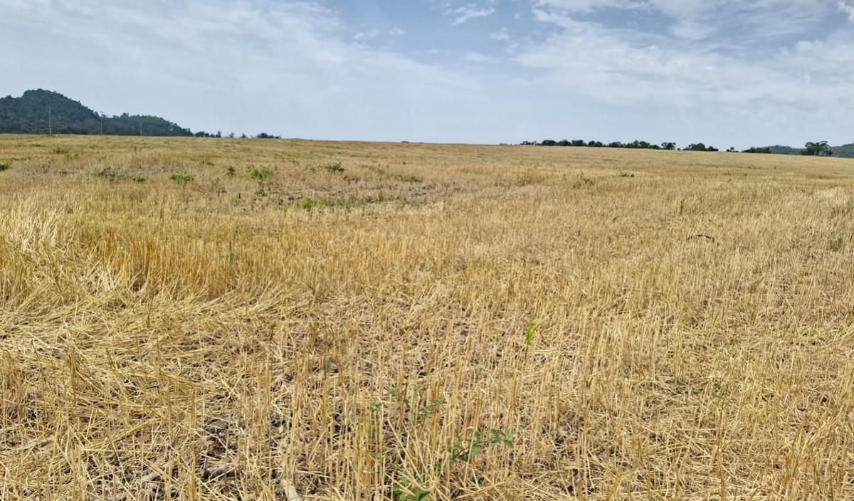 Fazenda, Zona Rural, 0 Quarto, 0 Vaga