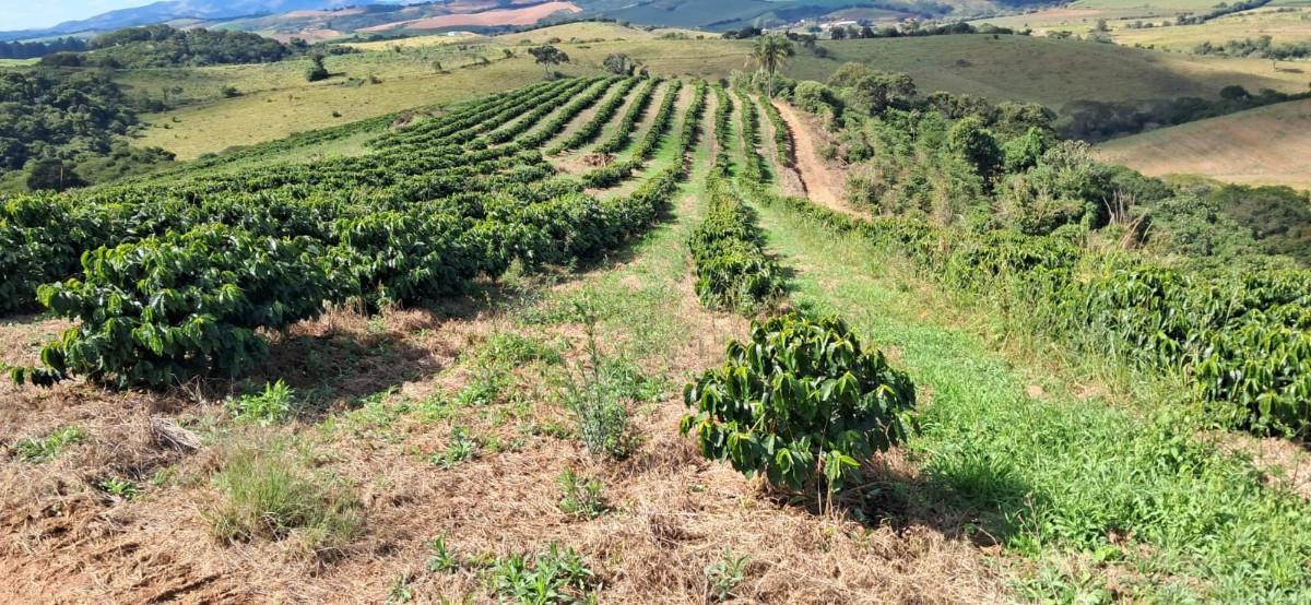 Fazenda, Zona Rural, 0 Quarto, 0 Vaga