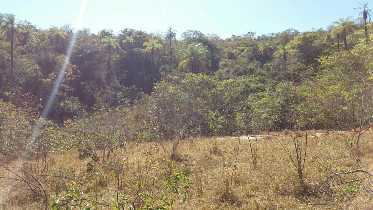 Lote, Zona Rural, 0 Quarto, 0 Vaga
