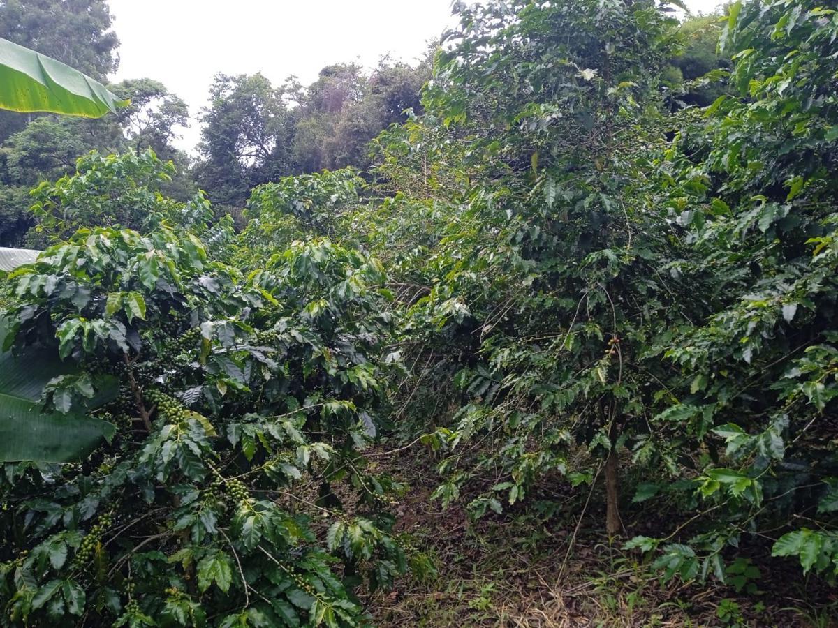 Fazenda, Zona Rural, 0 Quarto, 0 Vaga