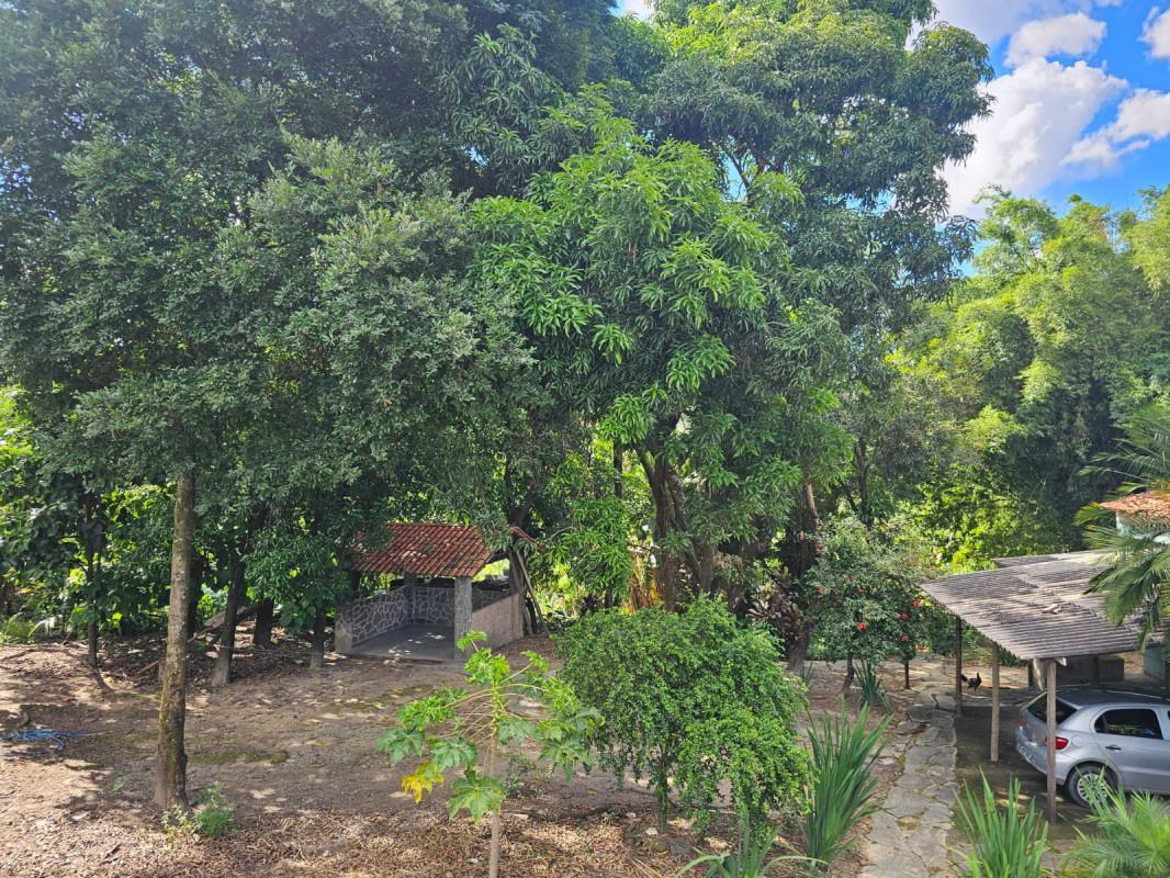 Fazenda, Chácara Cotia, 3 Quartos, 20 Vagas