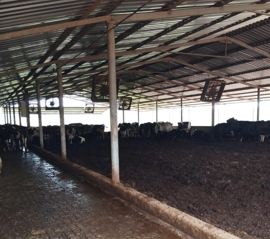 Fazenda, Área Rural de Pará de Minas, 0 Quarto, 0 Vaga