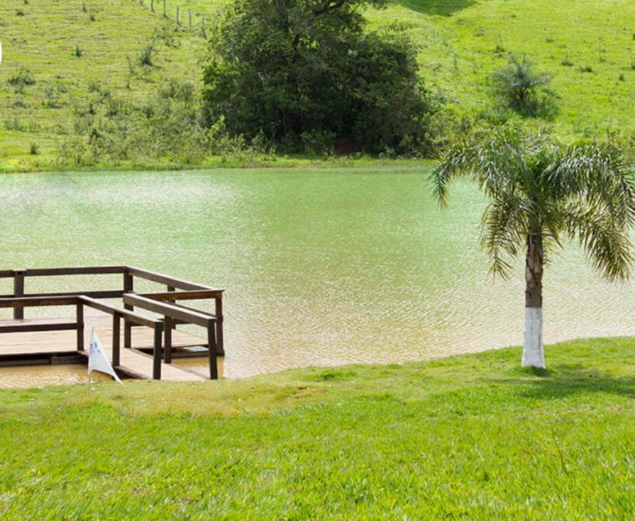 Fazenda, Jardim das Palmeiras, 0 Quarto, 0 Vaga