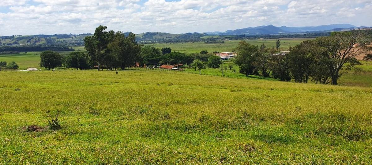 Fazenda, Centro, 4 Quartos, 2 Vagas, 1 Suíte