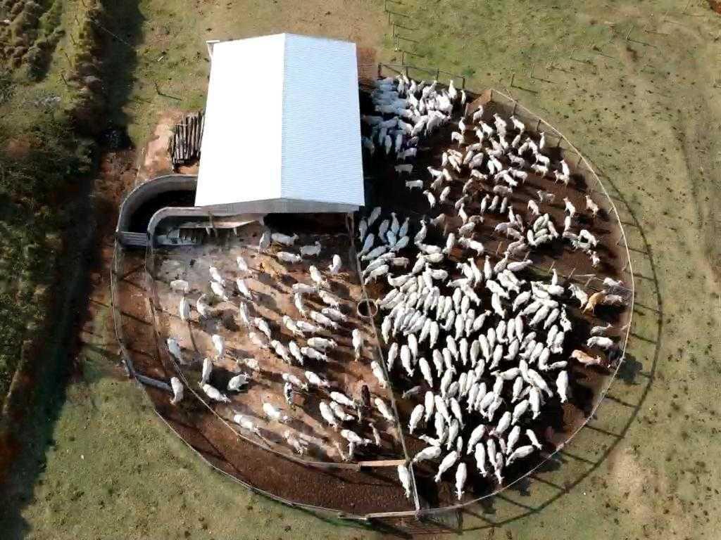 Fazenda, Zona Rural, 4 Quartos, 0 Vaga