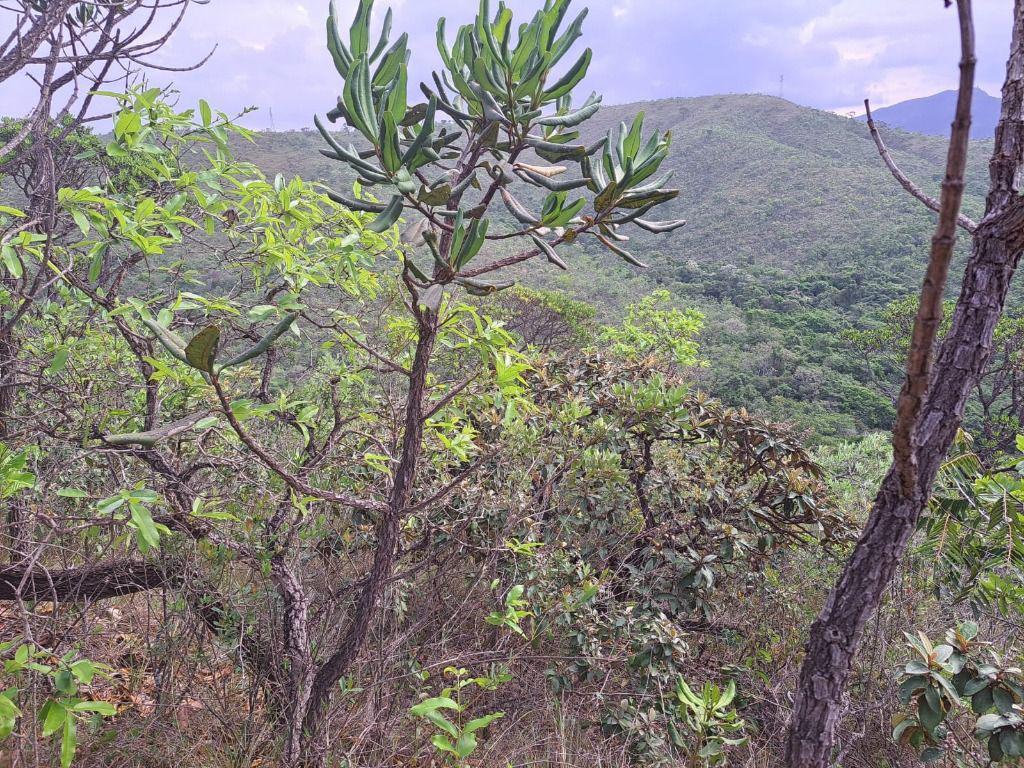 Lote, Arraial Velho, 0 Quarto, 0 Vaga