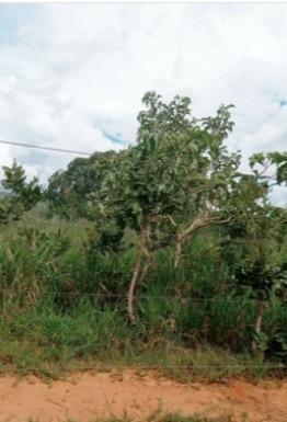 Fazenda, Zona Rural, 3 Quartos, 0 Vaga