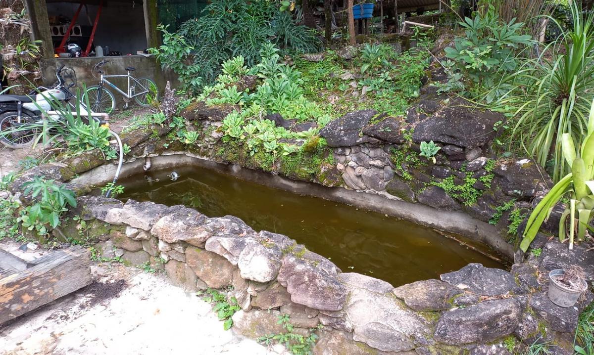 Fazenda, Gentileza, 4 Quartos, 10 Vagas, 2 Suítes