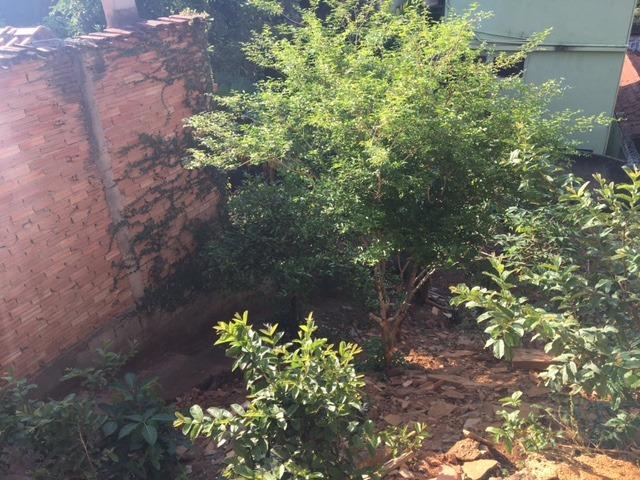 Apartamento, Palmeiras, 3 Quartos, 0 Vaga