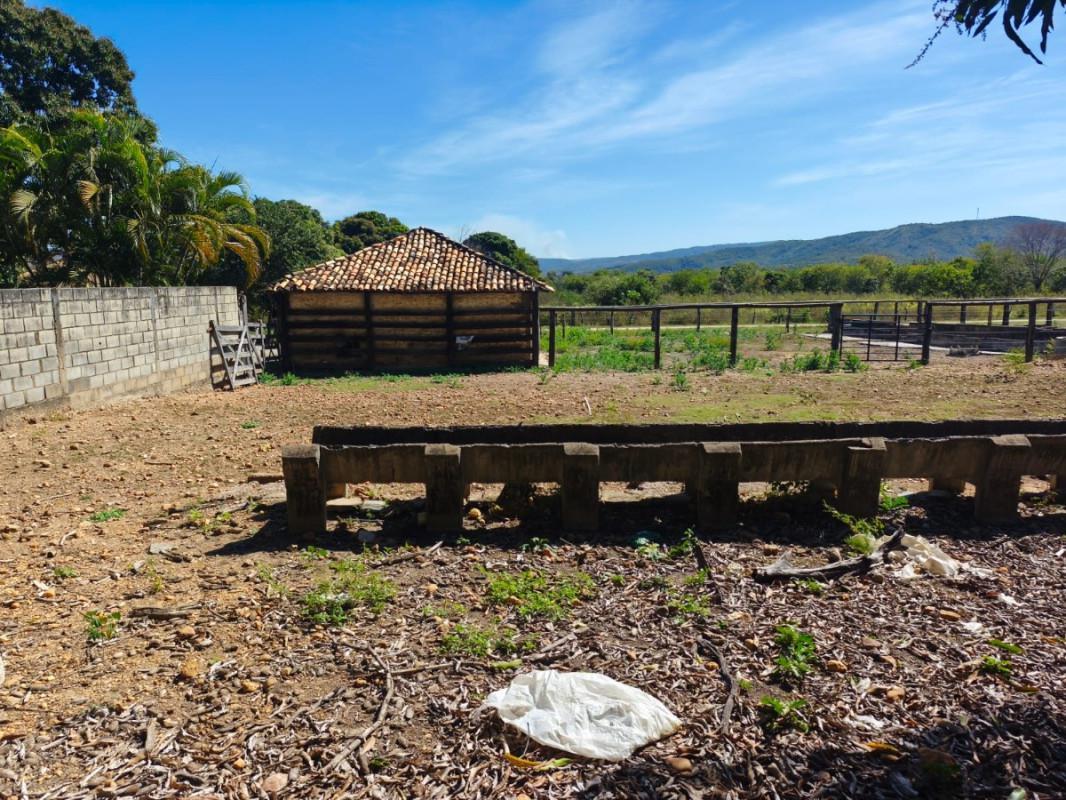Fazenda, Centro, 0 Quarto, 0 Vaga