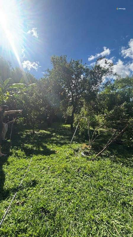 Fazenda, Bonanza, 3 Quartos, 0 Vaga, 1 Suíte
