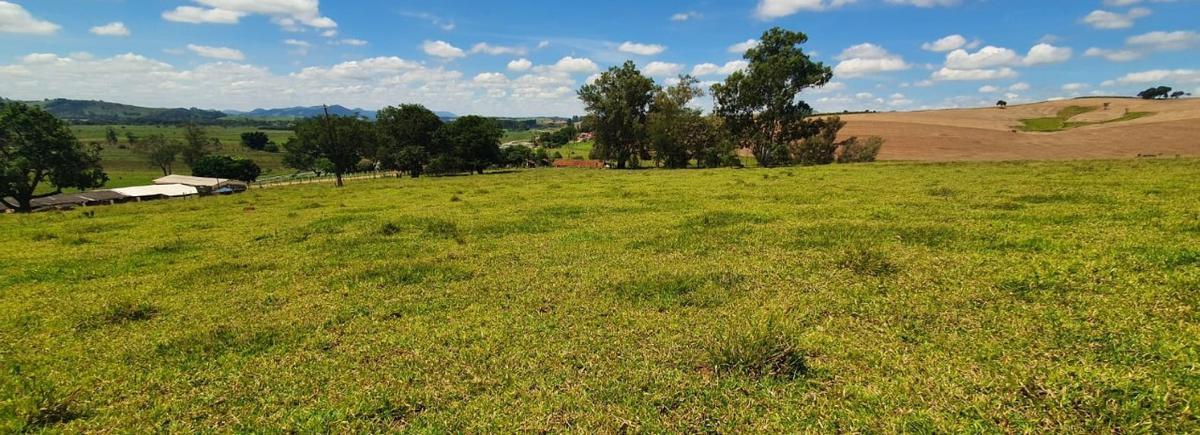 Fazenda, Centro, 4 Quartos, 2 Vagas, 1 Suíte