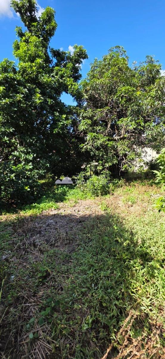 Lote, Santa Amélia, 0 Quarto, 0 Vaga