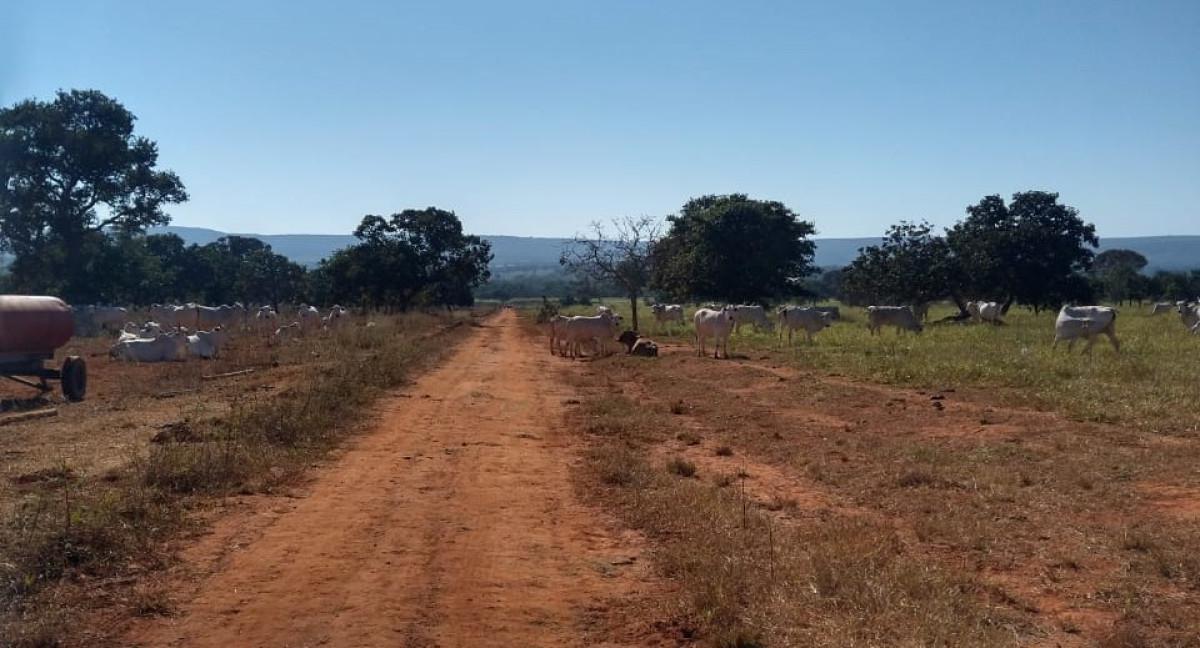 Fazenda, Zona Rural, 0 Quarto, 0 Vaga